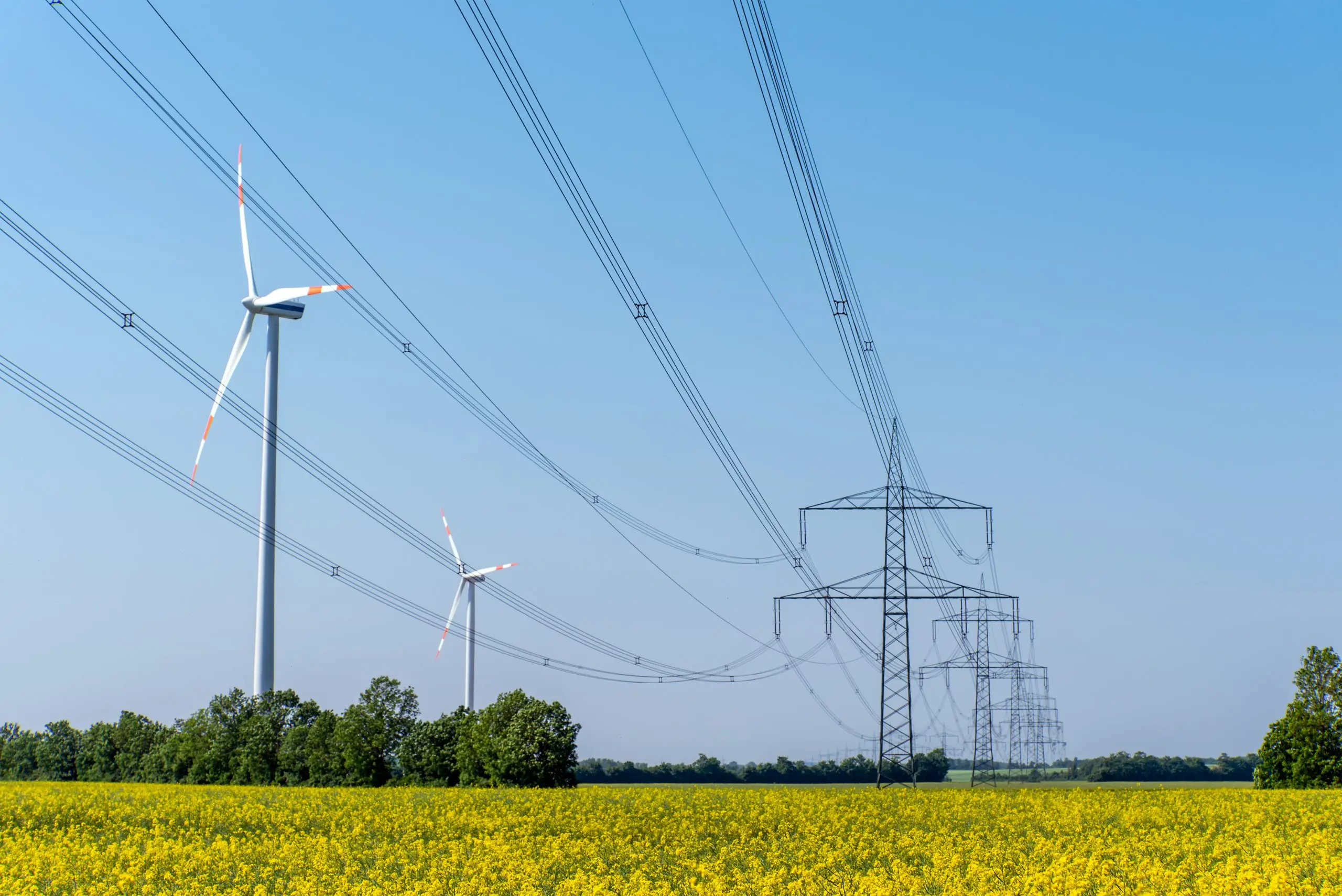 Distribuce energií (elektřina, plyn)