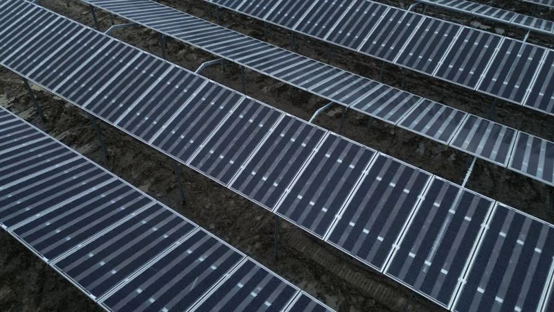 Detailní letecký záběr na řady solárních panelů agrovoltaické elektrárny